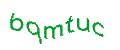 Captcha 画像