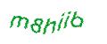 Captcha 画像