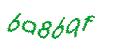 Captcha 画像