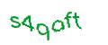Captcha 画像