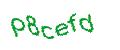 Captcha 画像
