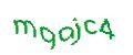 Captcha 画像