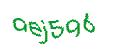 Captcha 画像