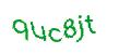Captcha 画像