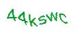 Captcha 画像